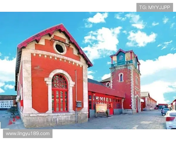 图卢兹俱乐部百年荣光与现代崛起的辉煌征程