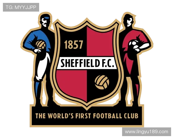 布拉德福德俱乐部：探索英格兰足球历史中的传奇故事与辉煌成就