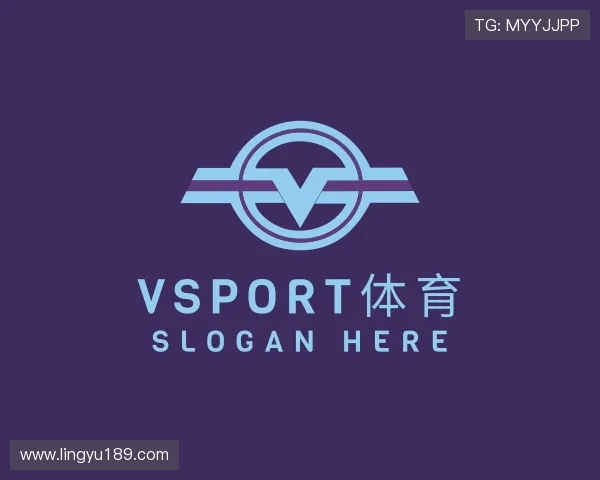 介绍vsport体育